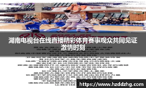 湖南电视台在线直播精彩体育赛事观众共同见证激情时刻